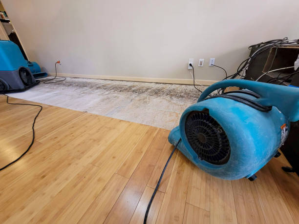 Professional Structural Drying technician working in Clifton Park, NY